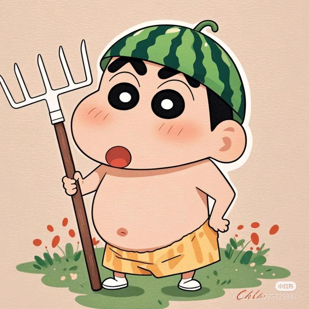 Zhang先生