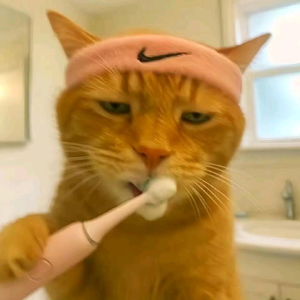 LLL.