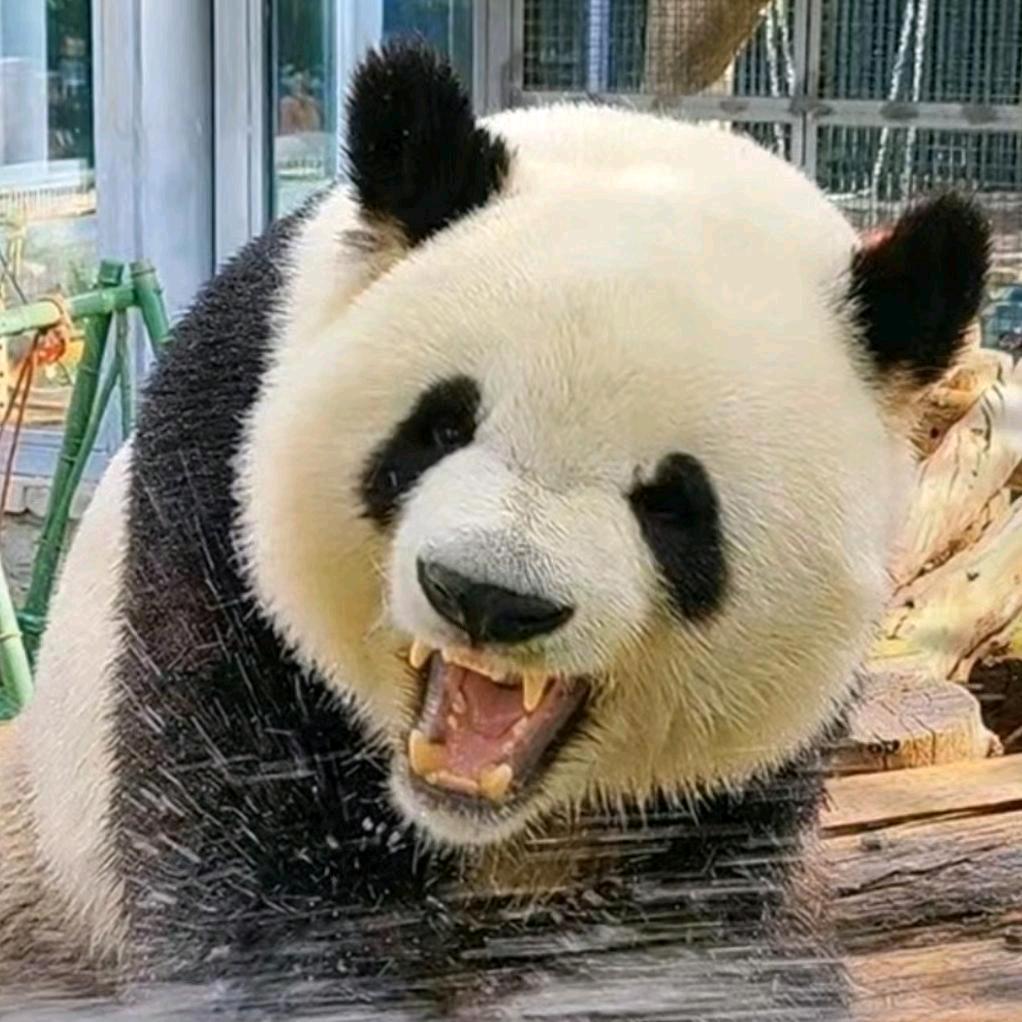 诚信.