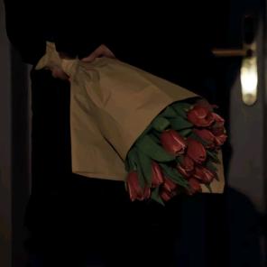 派大星我们去抓水母吧