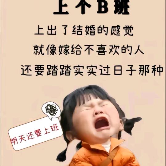 多米优选