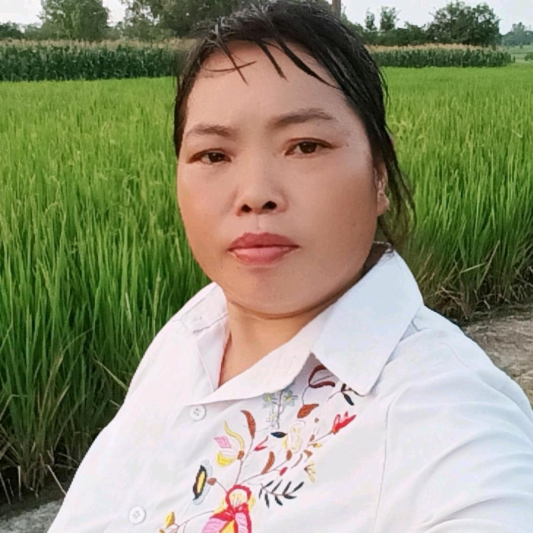云南会姐早五点