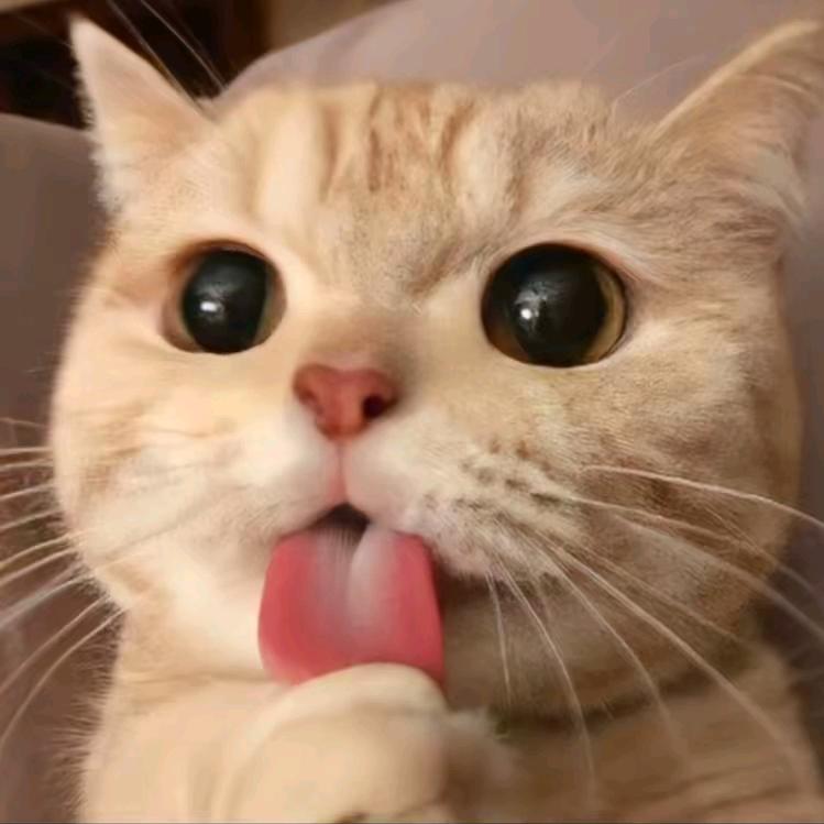 小瑜影视