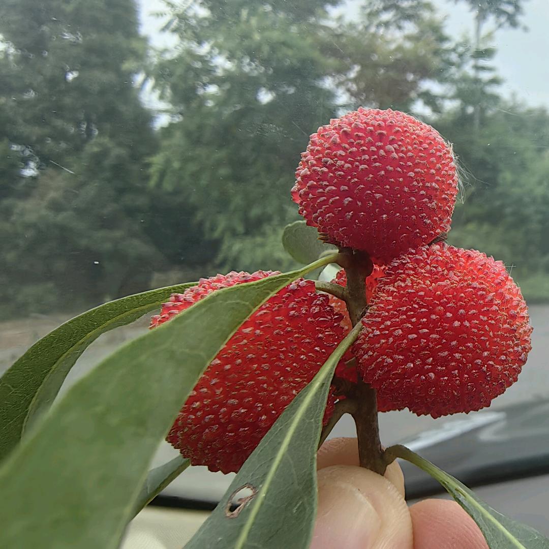 周周小铺