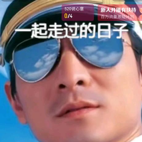 刘德华演唱会
