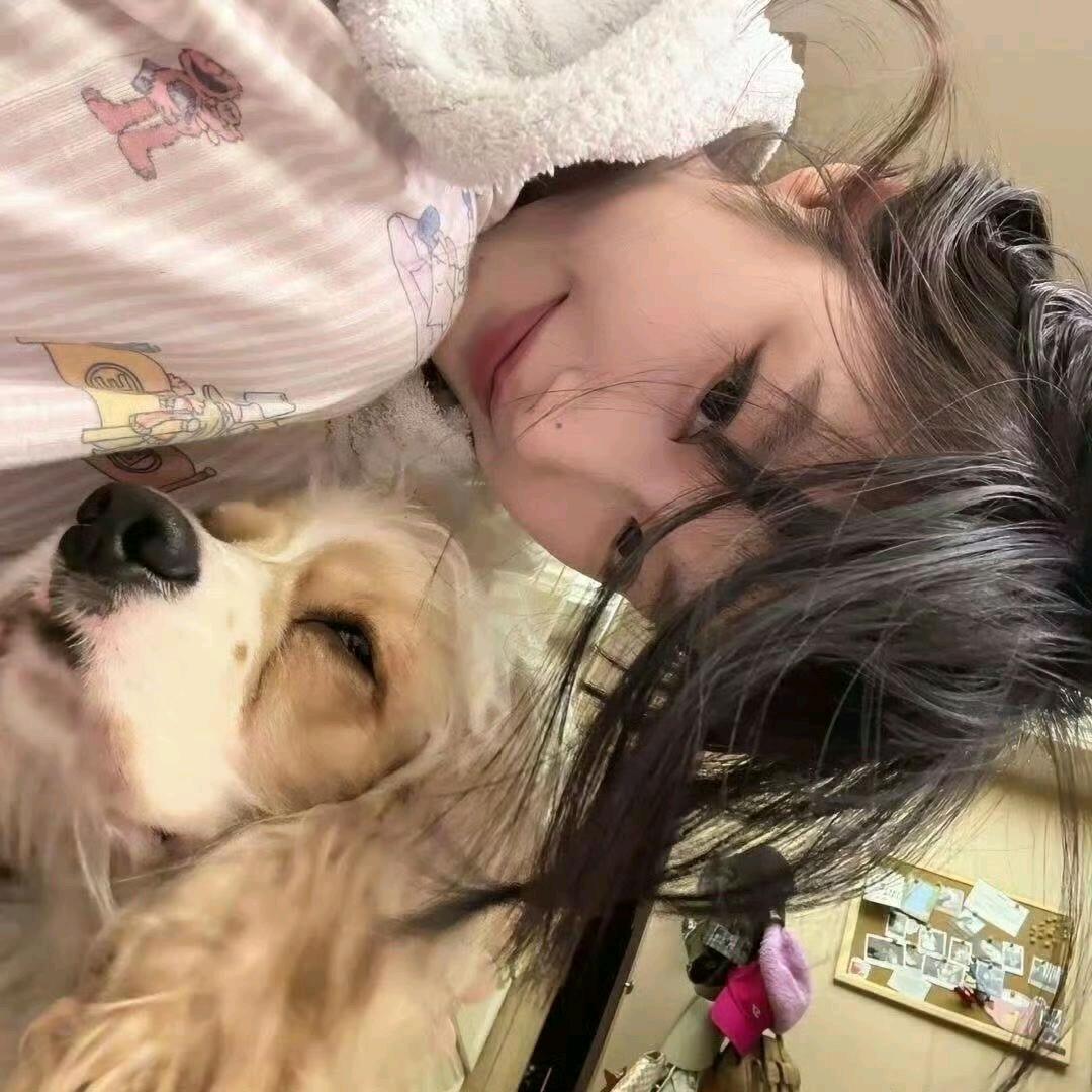 卷卷不太热🐰