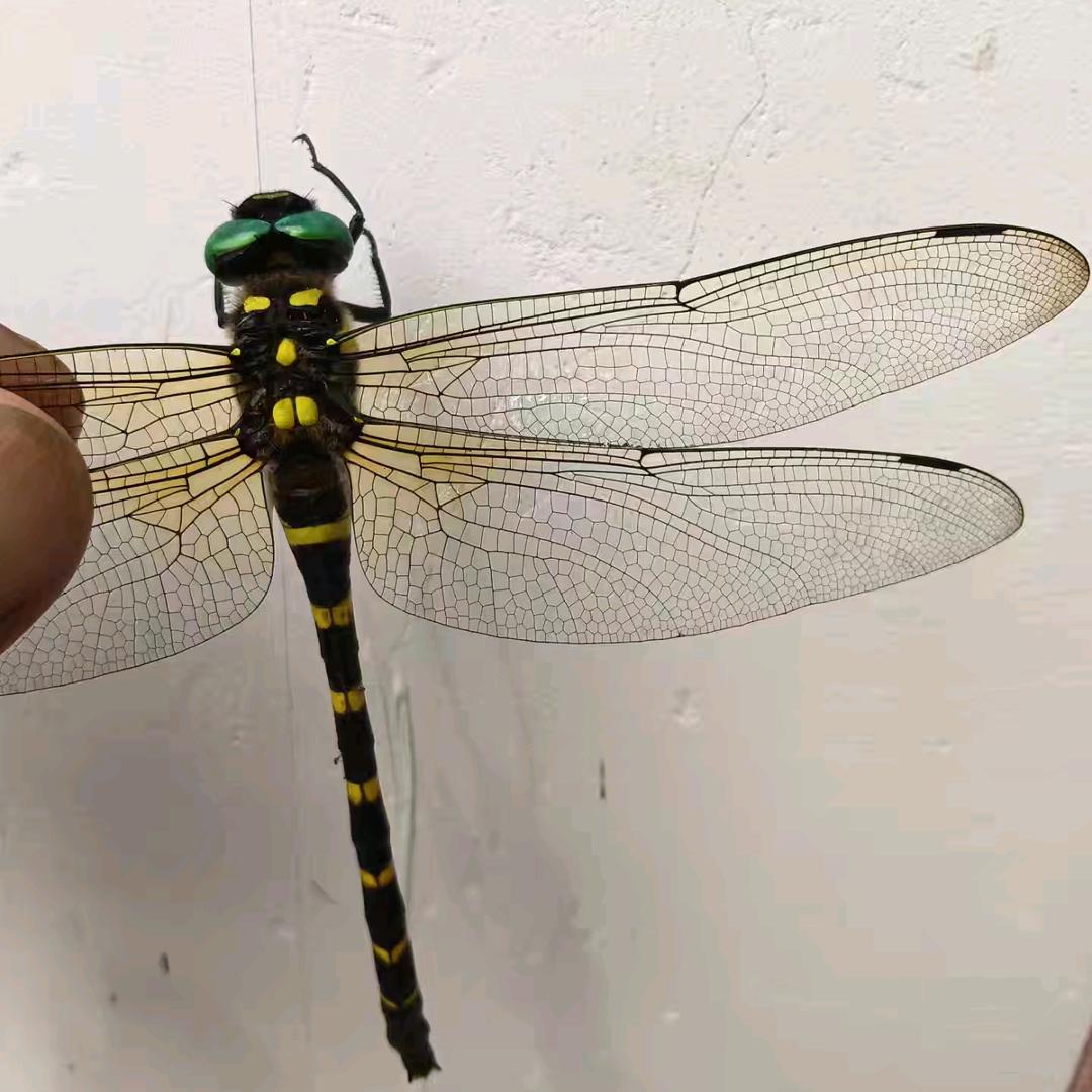 好好工作