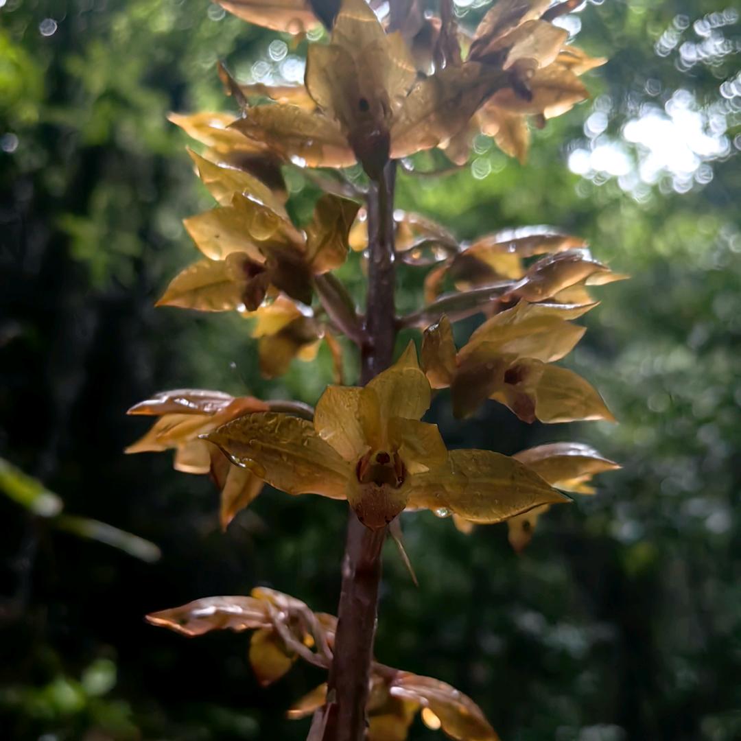 食得咸🐠抵得渴🐘