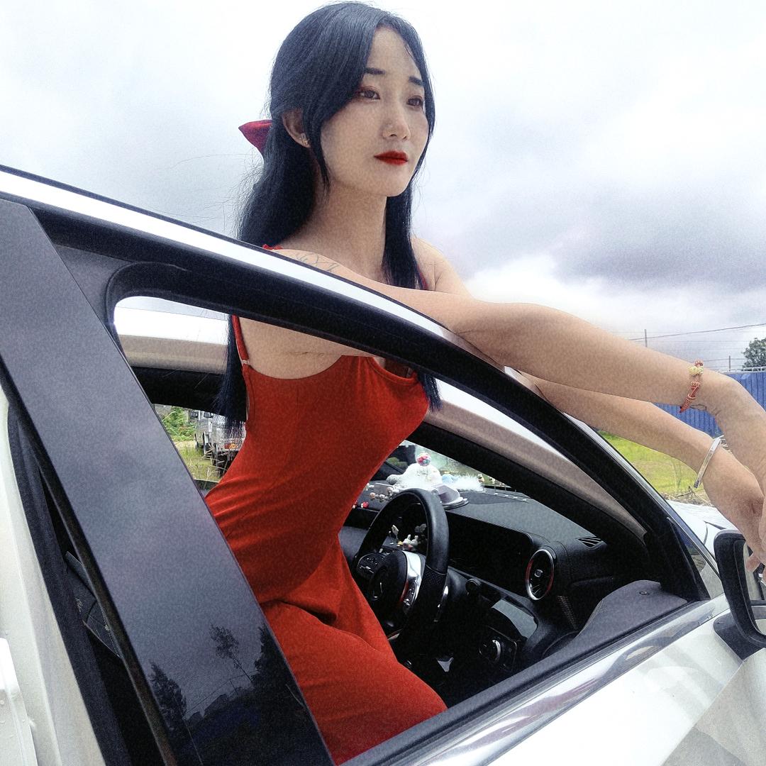 一只小肥楊
