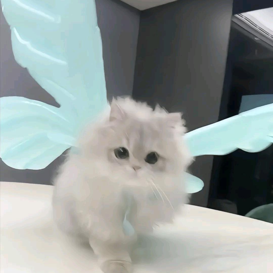 石榴