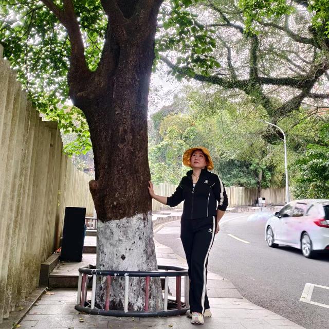 ღ᭄莉．极夜微光ꫛღ