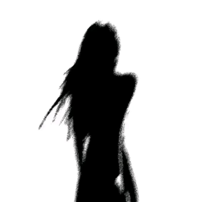 乌龟爱吃暴龙兽