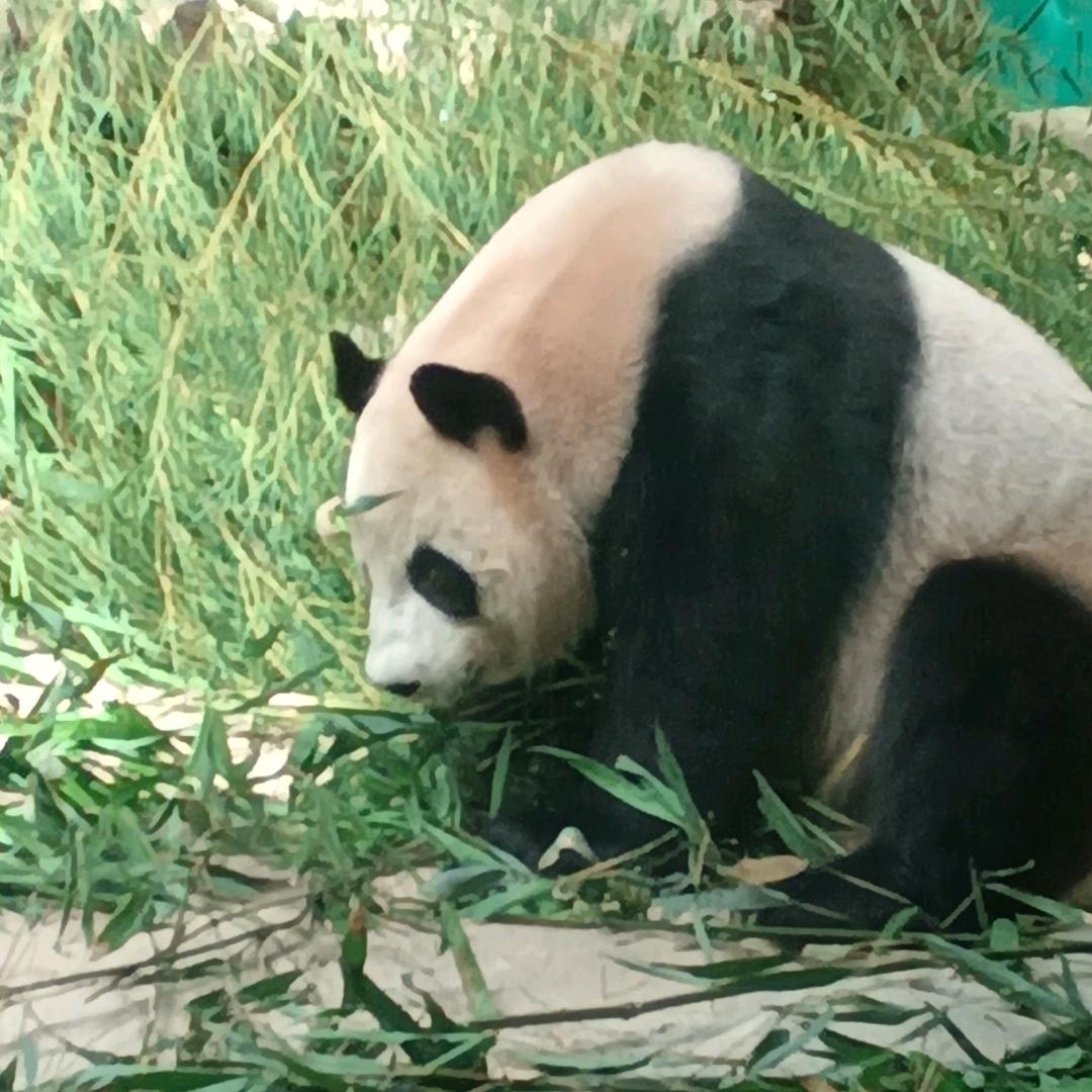 卖打火机的小彬彬