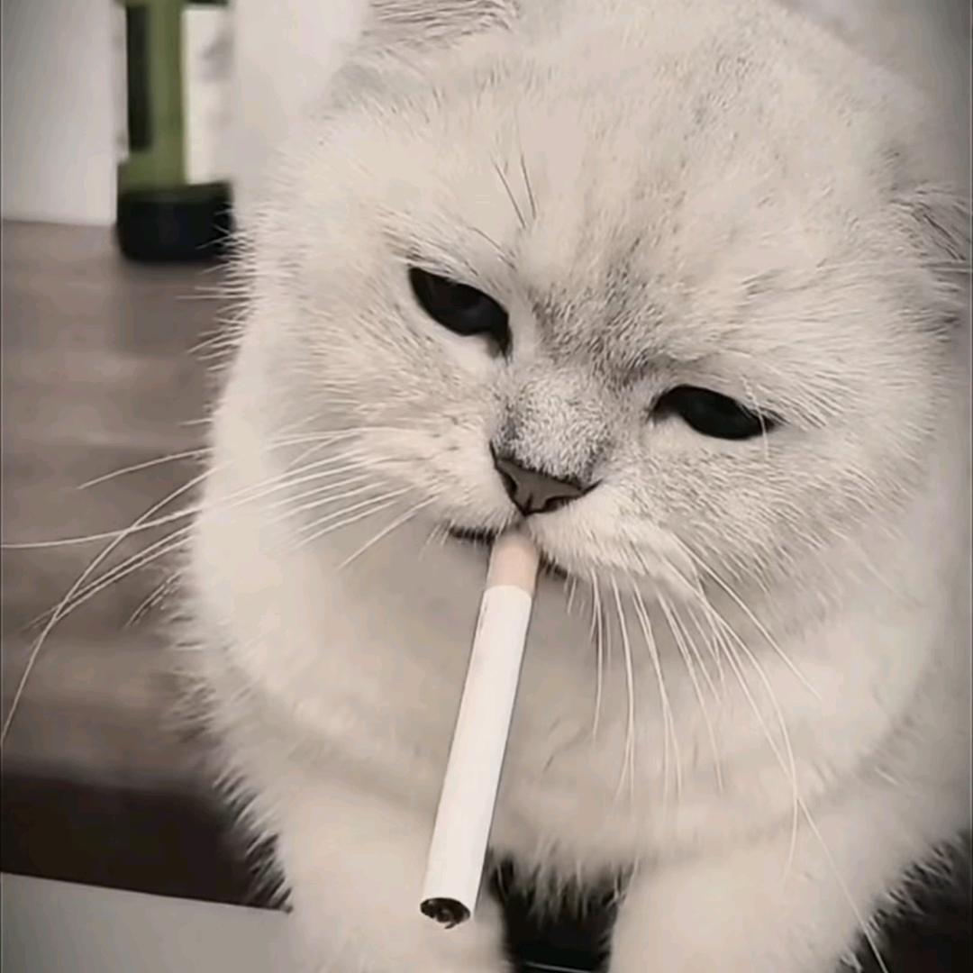 梁总，靈山善生堂道馆