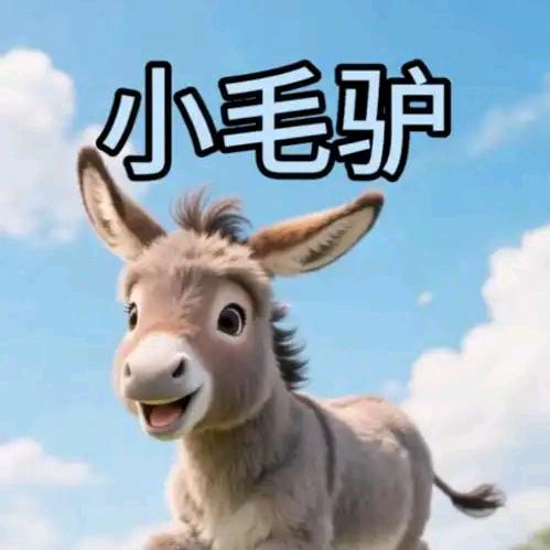 骑着毛驴去蹦迪