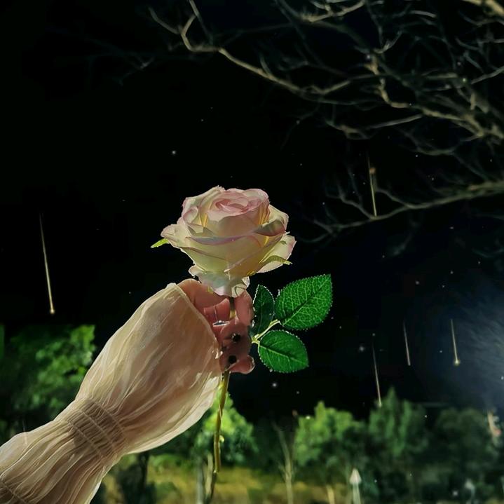 繁星一梦