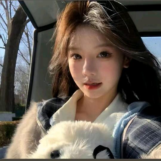筱筱的温暖夏树