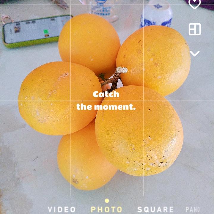 贝贝总动员高围店阿珍