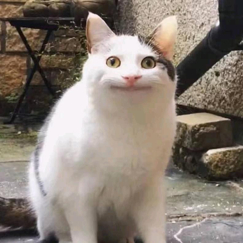 正月初九