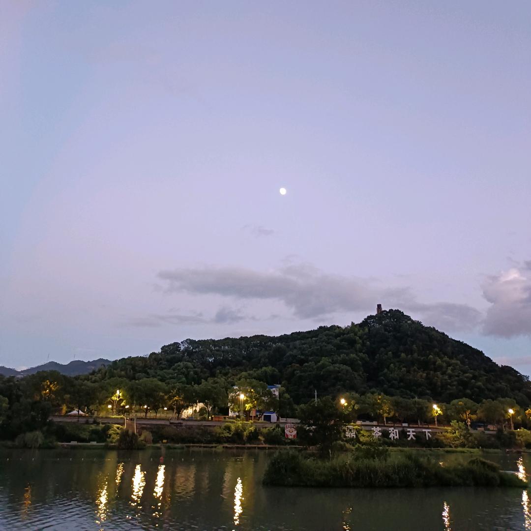 乡野  兰