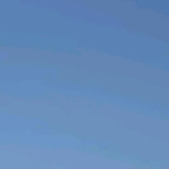 小透明