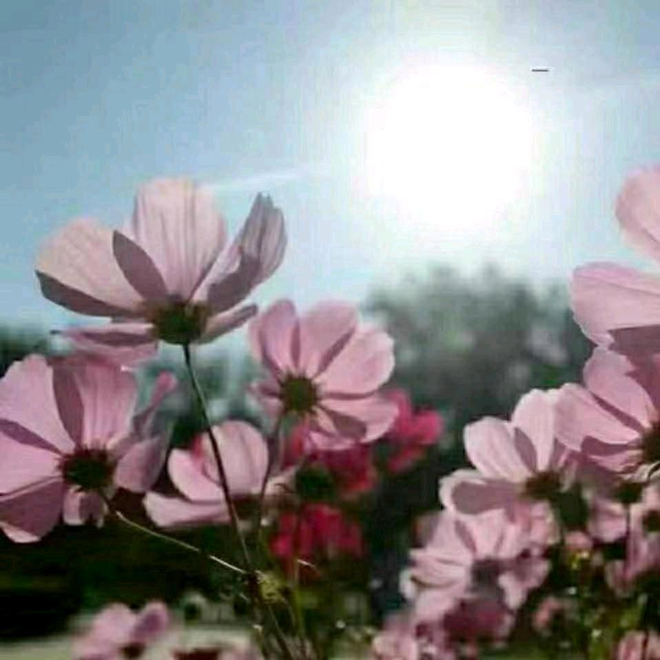 信誉衣橱优雅（衡水店）