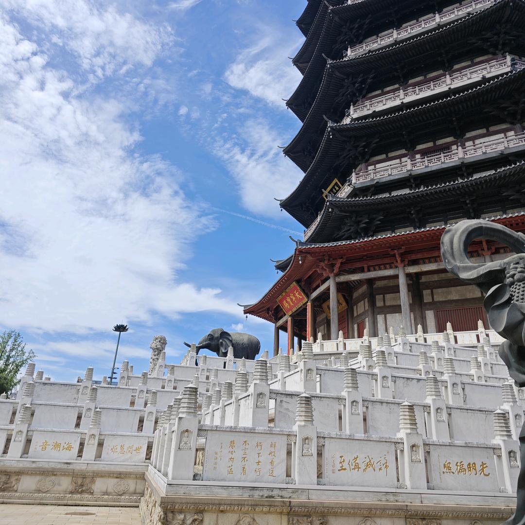 南黎阿姨