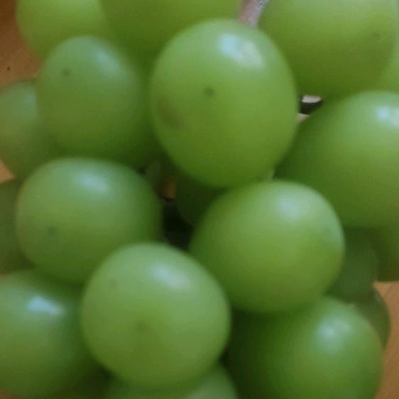 🚬ಇ᭄戒烟戒酒࿆ྃ不໊戒你🍑࿐