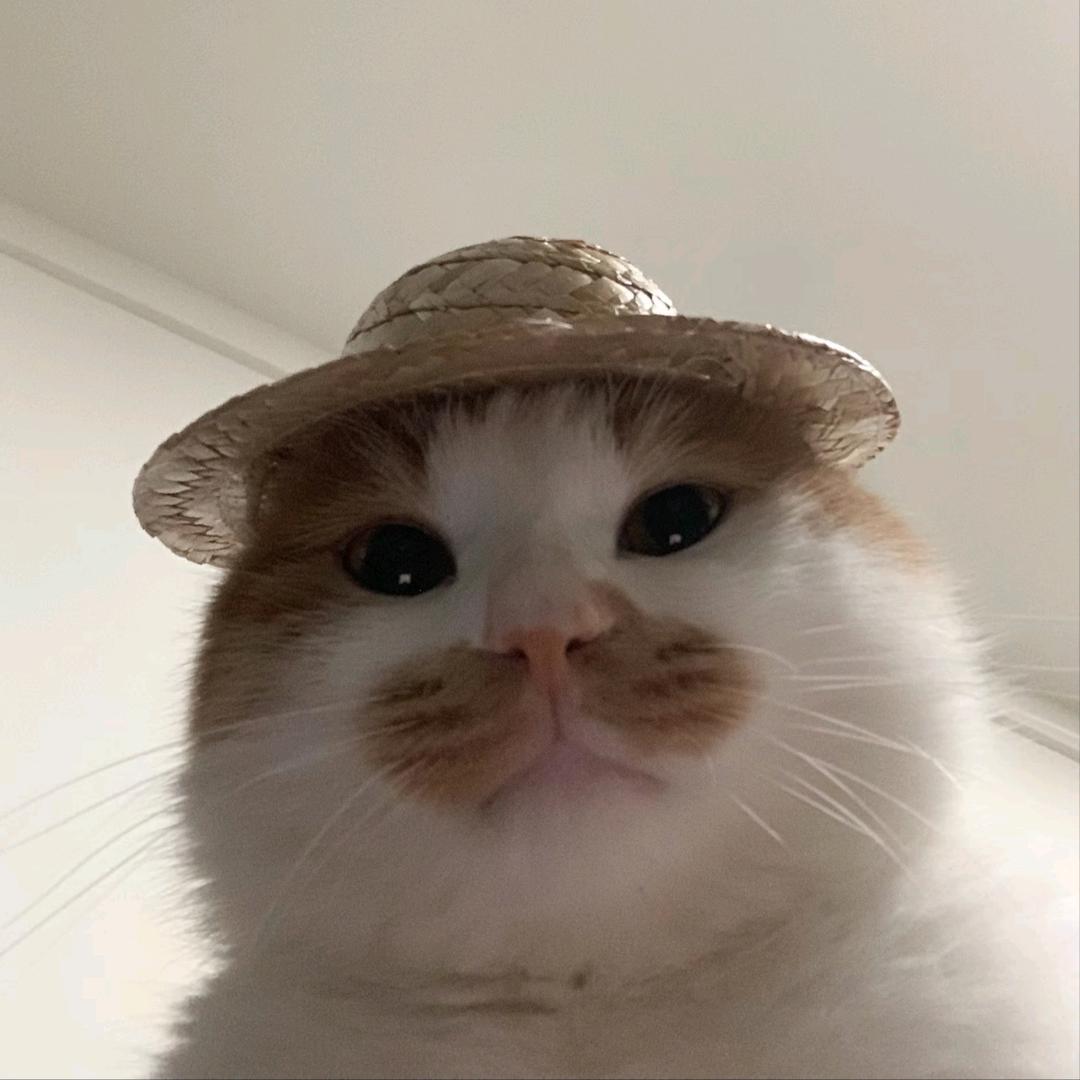 卑劣的勇