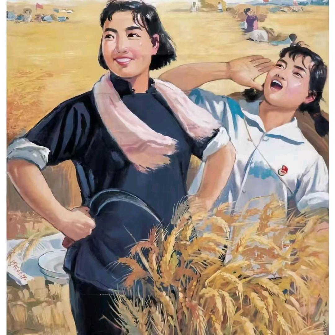 鑫鑫田园