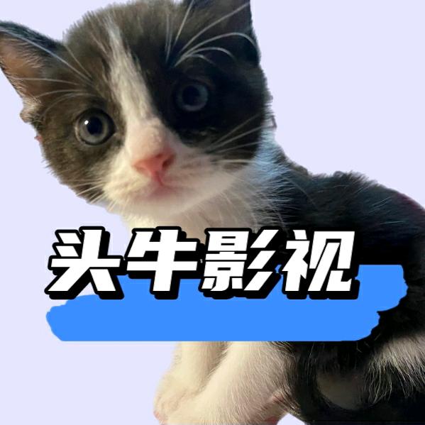 头牛影视