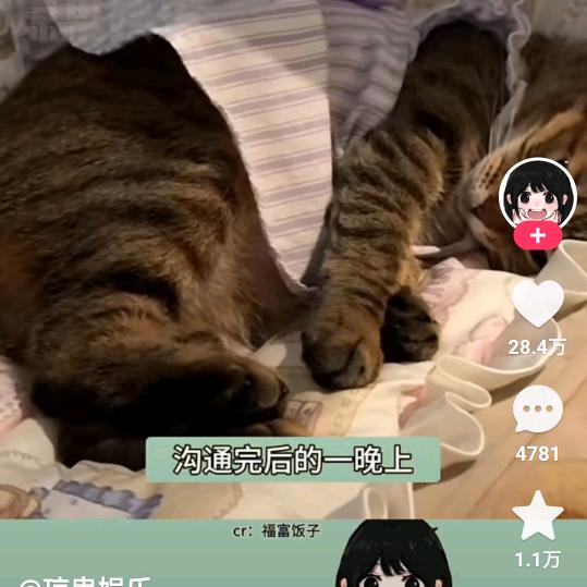 月殇