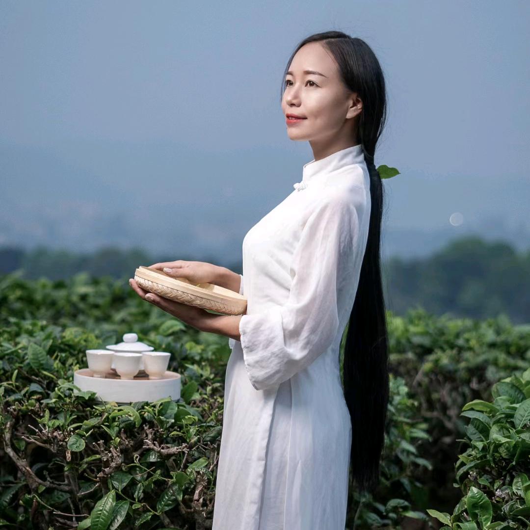 普洱李艳
