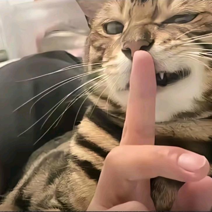 AAA猪饲料批发💋💋陆姐 💋