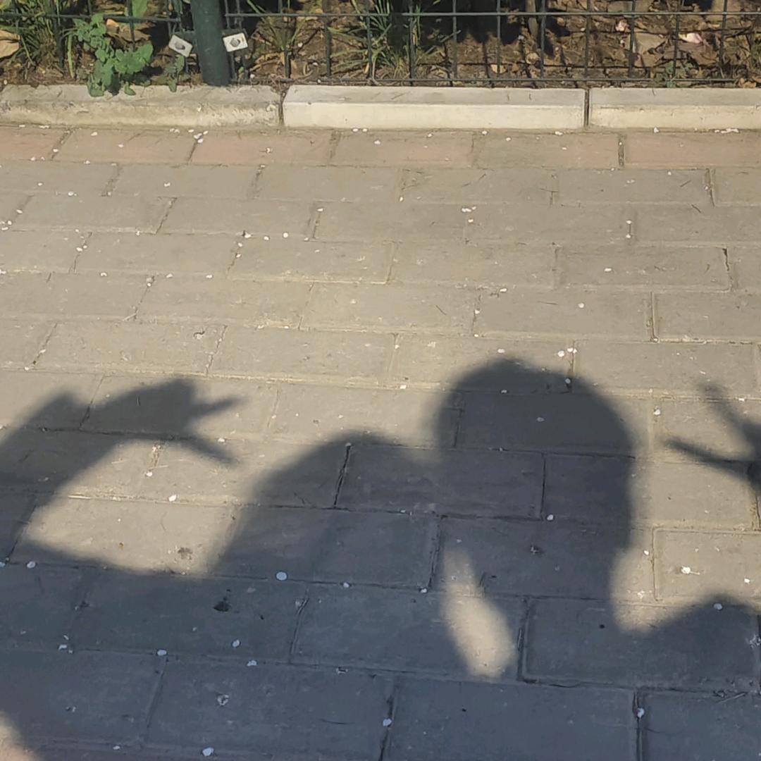 小甜宝宝（新手版）