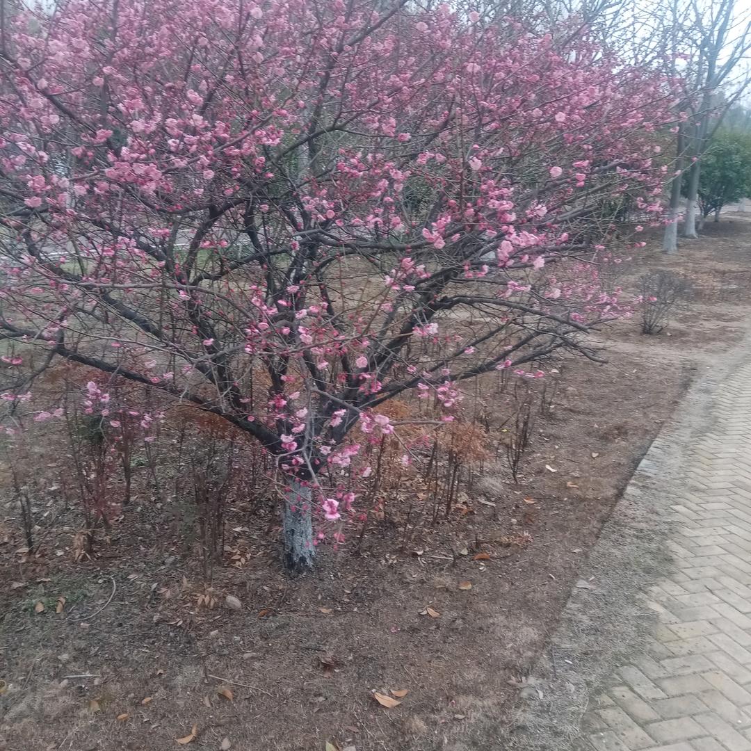 帅气的我  王哥