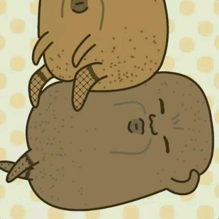 奇怪的老六(斗魂竞技场)