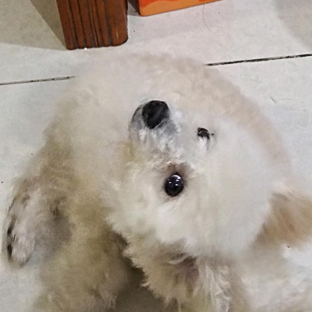 开心姐