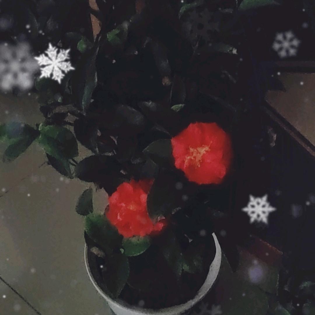 同学们好