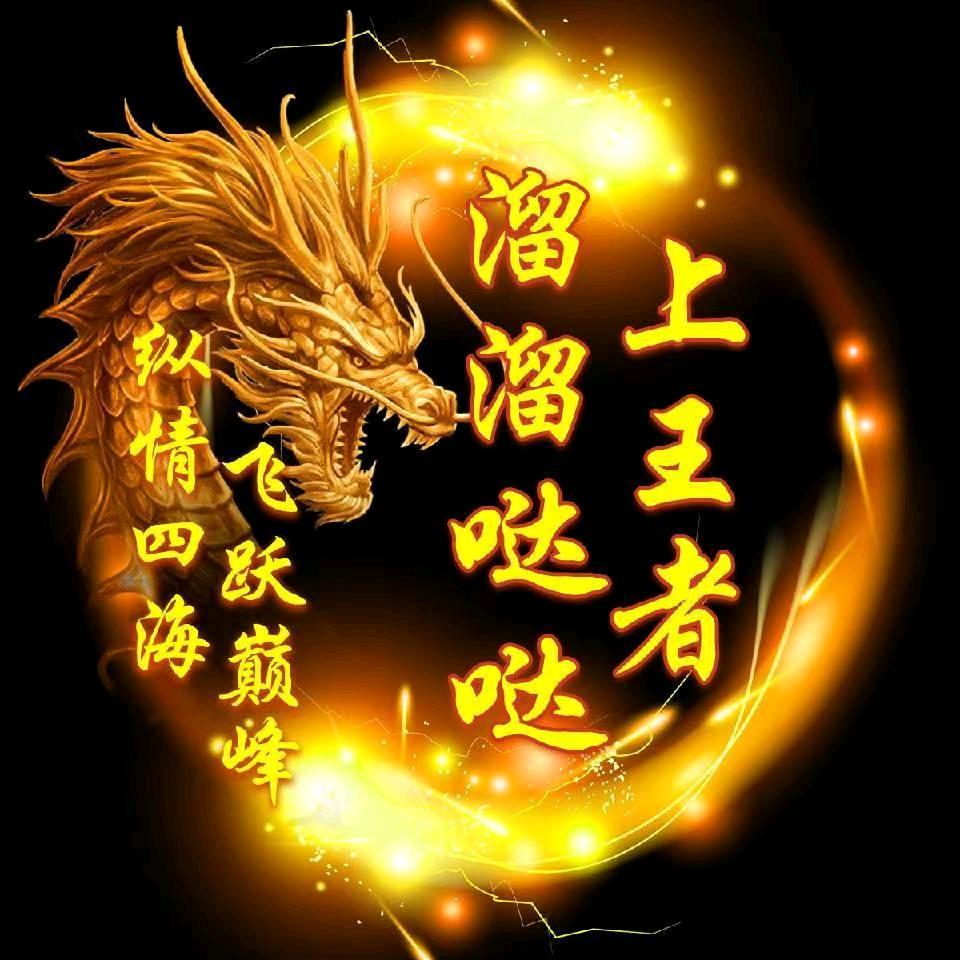 〽️溜溜哒哒上王者℡