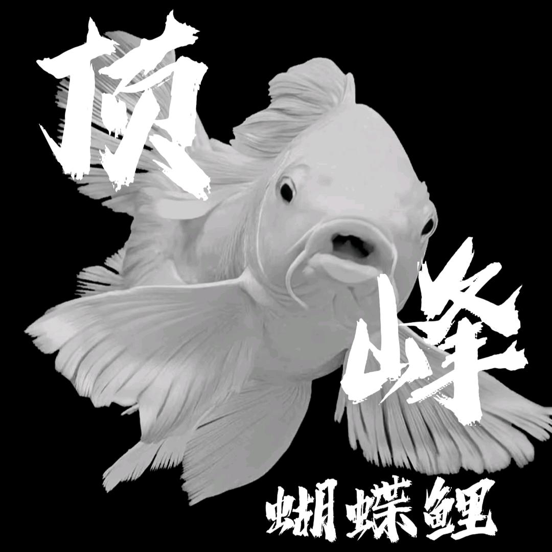 子鱼子乐蝴蝶鲤