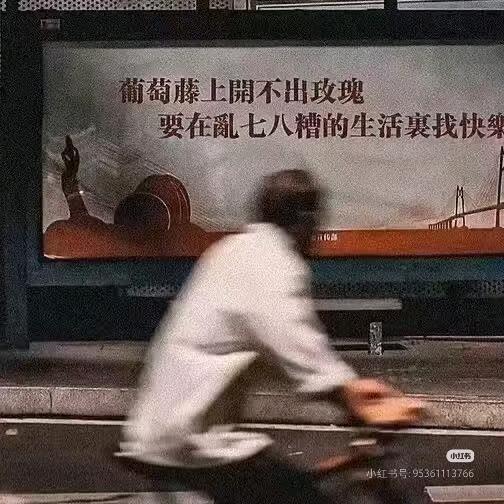 农夫三拳