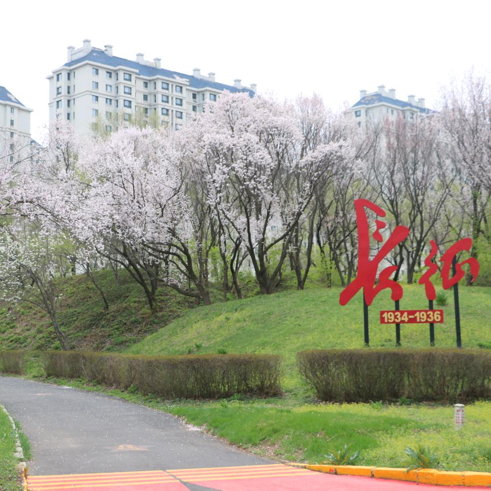 生活就是大舞台