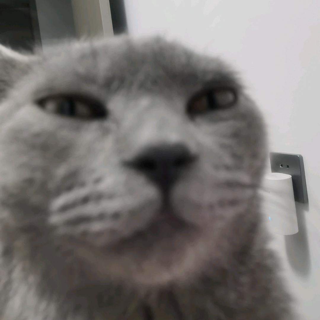 弱智三千取你狗命