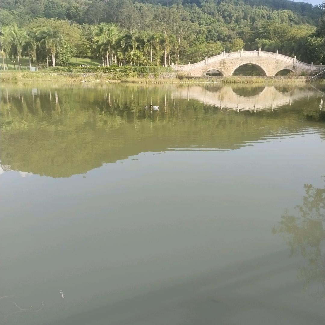 浮尘