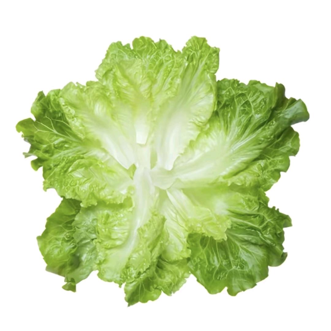 不要再捉弄我了.