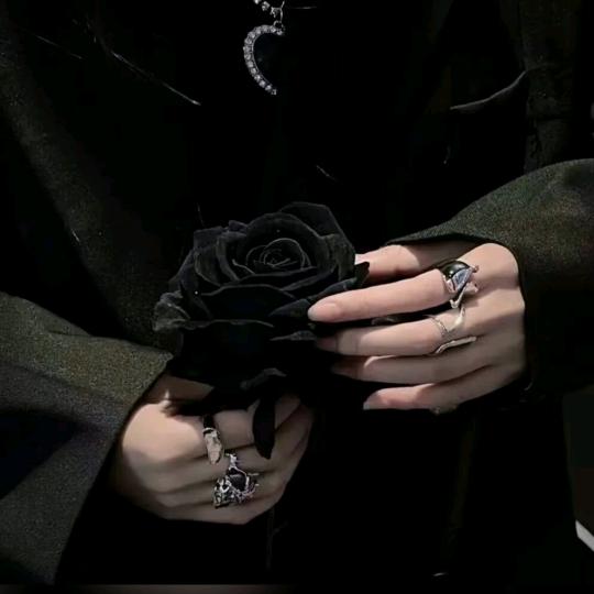 ঞ愿 ꦿ 心໌້ᮨ꧔ꦿ