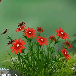 岁月静好