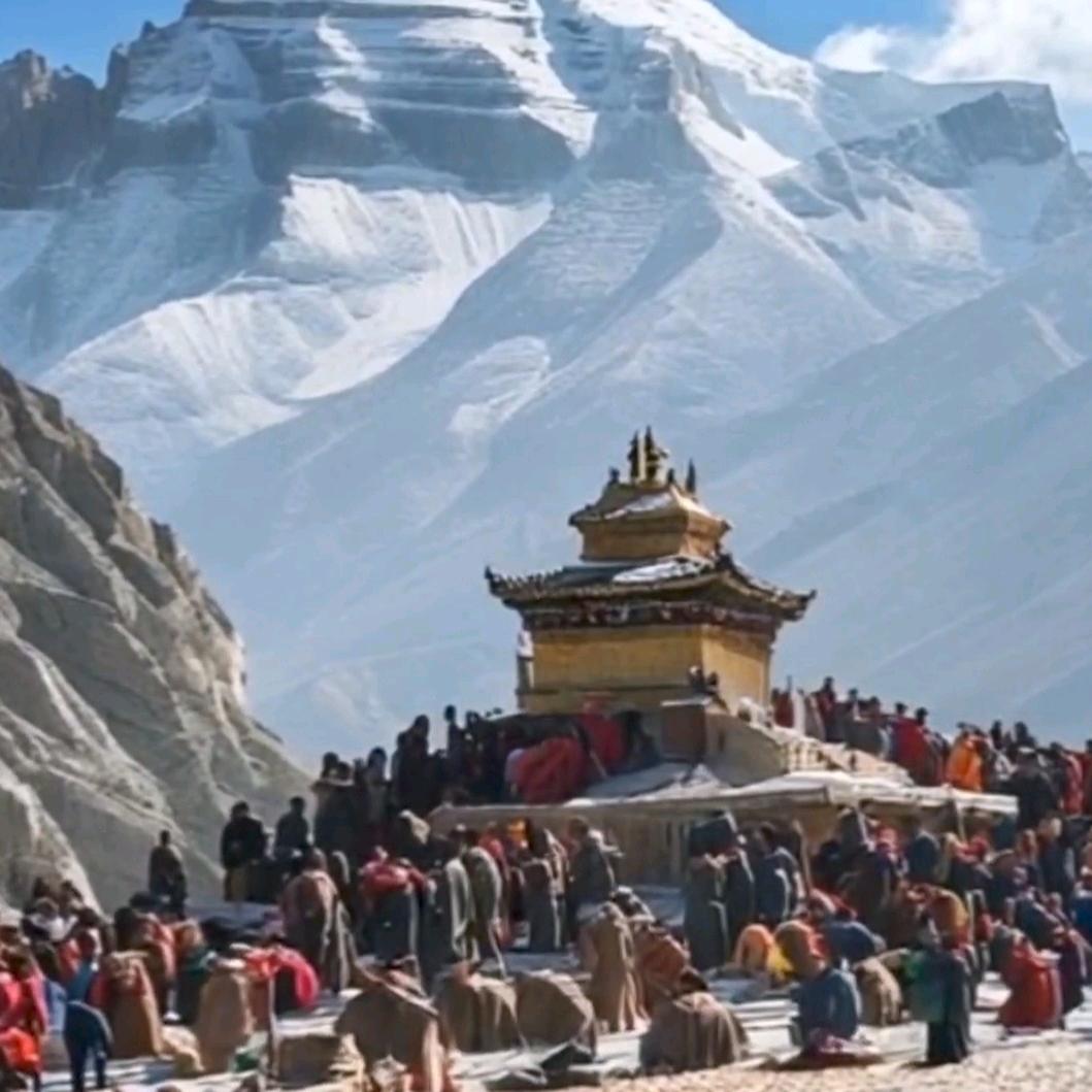 单青美景
