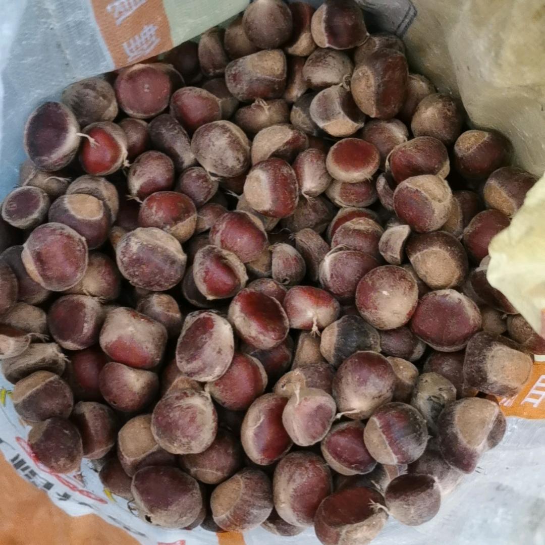 为你停刘（生活号）